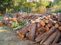Cooperazione forestale, il 20% del fabbisogno di calore dalle biomasse